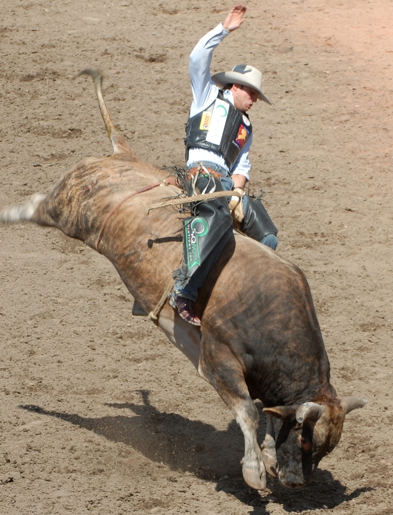 Rodeo Blank Template - Imgflip