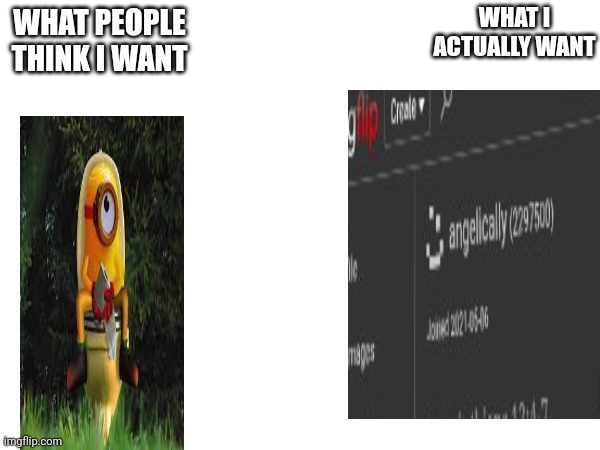 nilh | WHAT I ACTUALLY WANT; WHAT PEOPLE THINK I WANT | made w/ Imgflip meme maker