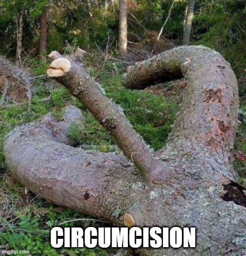 Circumcized | CIRCUMCISION | image tagged in dirty | made w/ Imgflip meme maker