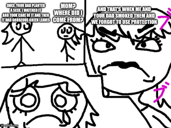 Little dark joke thing I drew with the imgflip draw tool | ONCE, YOUR DAD PLANTED A SEED. I WATERED IT AND TOOK CARE OF IT AND THEN IT HAD GORGEOUS GREEN LEAVES; AND THAT'S WHEN ME AND YOUR DAD SMOKED THEM AND WE FORGOT TO USE PROTECTION; MOM? WHERE DID I COME FROM? | image tagged in blank white template | made w/ Imgflip meme maker