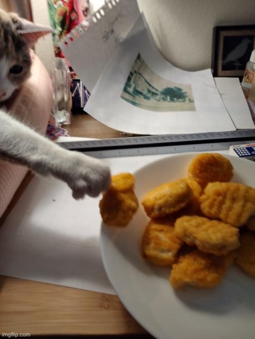 Chicken Nugget Thief | image tagged in chicken nugget thief | made w/ Imgflip meme maker