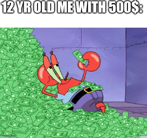 mr krabs money | 12 YR OLD ME WITH 500$: | image tagged in mr krabs money | made w/ Imgflip meme maker