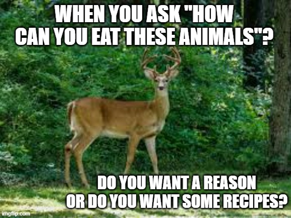 meme by Brad do not eat wild animals warning | WHEN YOU ASK "HOW CAN YOU EAT THESE ANIMALS"? DO YOU WANT A REASON OR DO YOU WANT SOME RECIPES? | image tagged in fun,hunting,funny meme,humor,animals,food | made w/ Imgflip meme maker