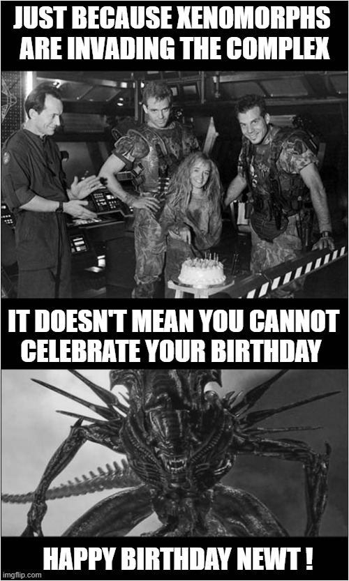 Greetings From LV 426 ! | JUST BECAUSE XENOMORPHS 
ARE INVADING THE COMPLEX; IT DOESN'T MEAN YOU CANNOT
CELEBRATE YOUR BIRTHDAY; HAPPY BIRTHDAY NEWT ! | image tagged in aliens,birthday cake,happy birthday,dark humour | made w/ Imgflip meme maker