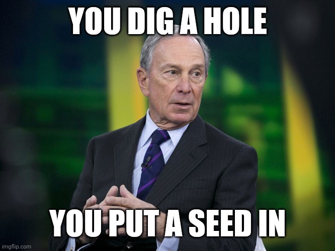 OK BLOOMER | YOU DIG A HOLE; YOU PUT A SEED IN | image tagged in ok bloomer | made w/ Imgflip meme maker