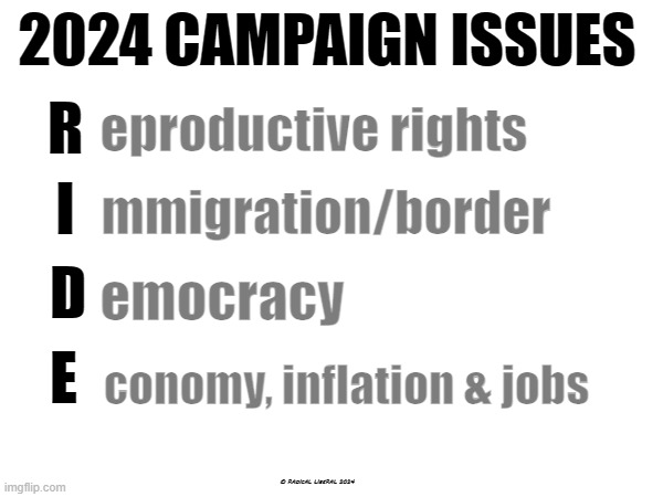 2024 Campaign Issues | 2024 CAMPAIGN ISSUES; R; eproductive rights; mmigration/border; I; D; emocracy; E; conomy, inflation & jobs; © RADICAL LIBERAL 2024 | image tagged in reproductive rights,immigration,democracy,economy,inflation,jobs | made w/ Imgflip meme maker