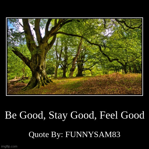 Quote | Be Good, Stay Good, Feel Good | Quote By: FUNNYSAM83 | image tagged in funny,demotivationals | made w/ Imgflip demotivational maker