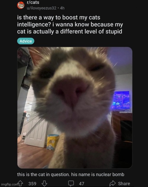 made w/ Imgflip meme maker