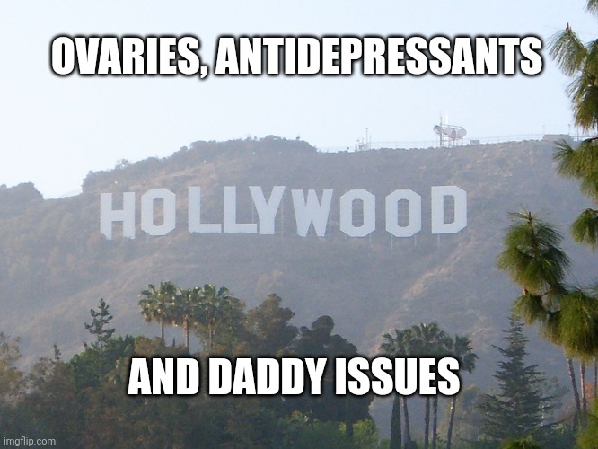 In a nutshell | OVARIES, ANTIDEPRESSANTS; AND DADDY ISSUES | image tagged in hollywood sign | made w/ Imgflip meme maker