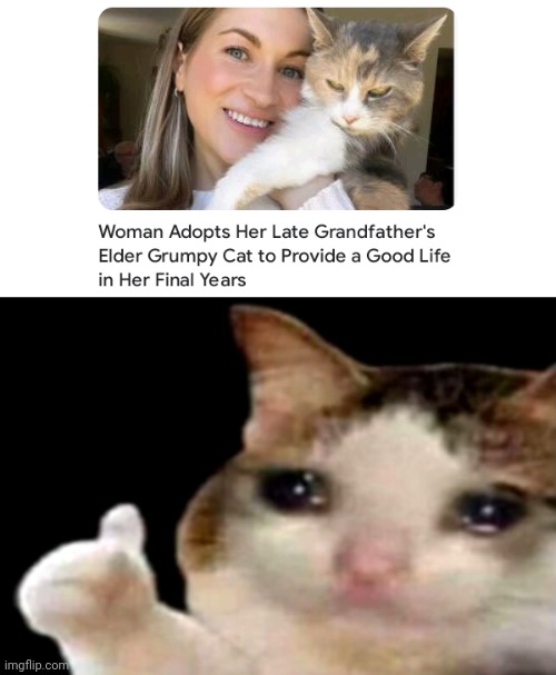 Elder Grumpy Cat | image tagged in sad cat thumbs up,cats,cat,adoption,memes,adopt | made w/ Imgflip meme maker