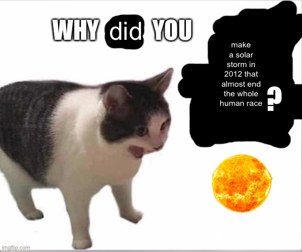 Cat yelling at sun | WHY            YOU; did; make a solar storm in 2012 that almost end the whole human race; ? | made w/ Imgflip meme maker