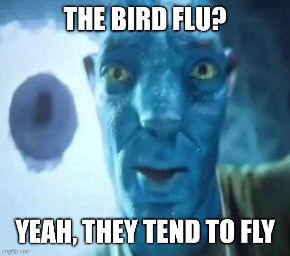 Avatar guy | THE BIRD FLU? YEAH, THEY TEND TO FLY | image tagged in avatar guy | made w/ Imgflip meme maker