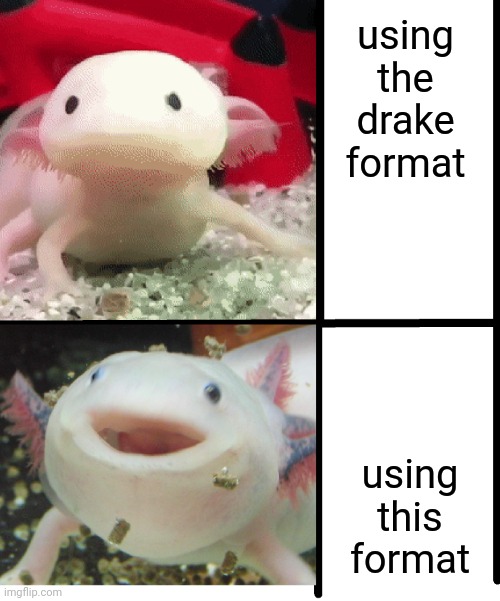 Annoyed Axolotl | using the drake format; using this format | image tagged in annoyed axolotl | made w/ Imgflip meme maker