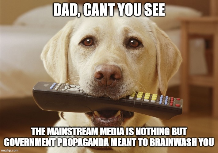 Fake News | DAD, CANT YOU SEE; THE MAINSTREAM MEDIA IS NOTHING BUT GOVERNMENT PROPAGANDA MEANT TO BRAINWASH YOU | image tagged in fake news,fake,cnn,propaganda,msnbc,dogs | made w/ Imgflip meme maker