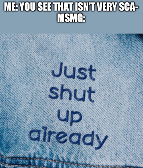 just shut up already | ME: YOU SEE THAT ISN’T VERY SCA-
MSMG: | image tagged in just shut up already | made w/ Imgflip meme maker