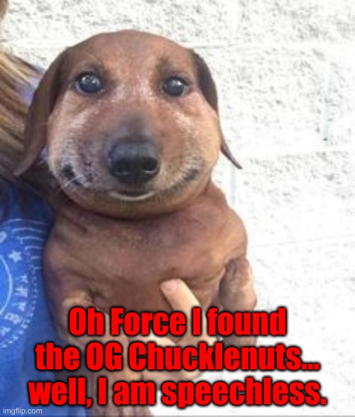 Oh Force I found the OG Chucklenuts... well, I am speechless. | image tagged in chucklenuts | made w/ Imgflip meme maker