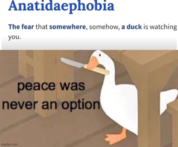 image tagged in untitled goose peace was never an option,phobia,duck | made w/ Imgflip meme maker