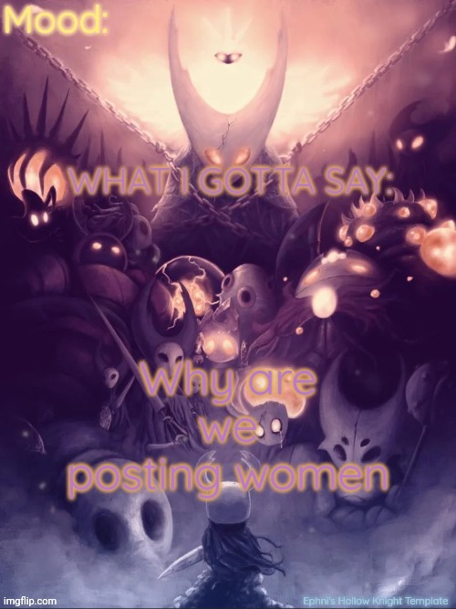 Ephni's Hollow Knight Template | Why are we posting women | image tagged in ephni's hollow knight template | made w/ Imgflip meme maker