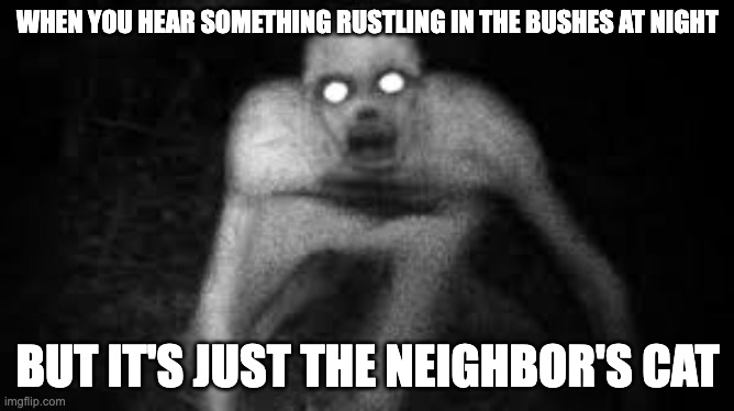 The Rake | WHEN YOU HEAR SOMETHING RUSTLING IN THE BUSHES AT NIGHT; BUT IT'S JUST THE NEIGHBOR'S CAT | image tagged in the rake | made w/ Imgflip meme maker