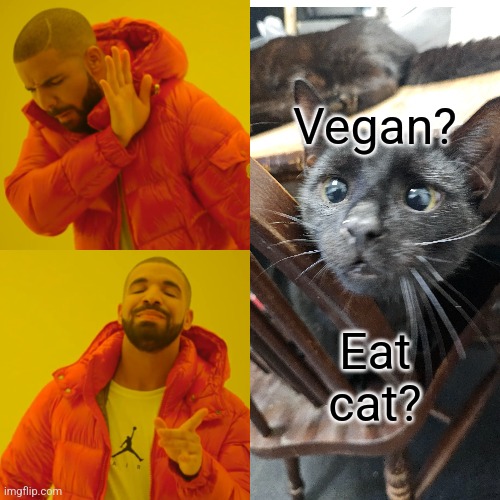Drake Hotline Bling Meme | Vegan? Eat cat? | image tagged in memes,drake hotline bling | made w/ Imgflip meme maker