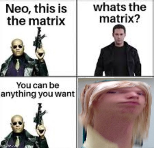 Neo this is the matrix | image tagged in neo this is the matrix,memes,operator bravo,fuck it we ball | made w/ Imgflip meme maker