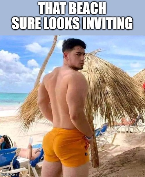 That Beach Sure Looks Inviting | THAT BEACH SURE LOOKS INVITING | image tagged in beach,inviting,shirtless,butt,funny,memes | made w/ Imgflip meme maker