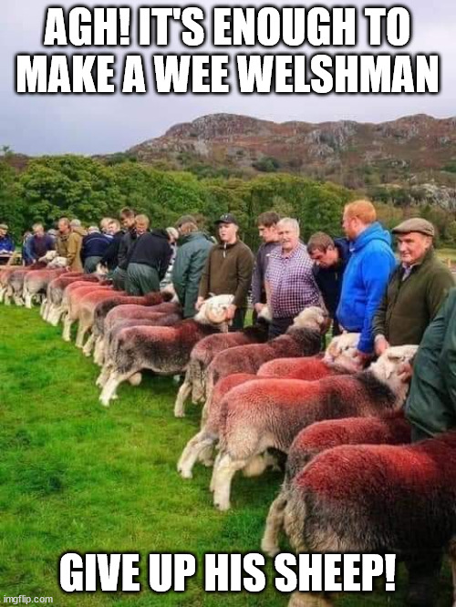 welsh | AGH! IT'S ENOUGH TO
MAKE A WEE WELSHMAN GIVE UP HIS SHEEP! | image tagged in welsh | made w/ Imgflip meme maker