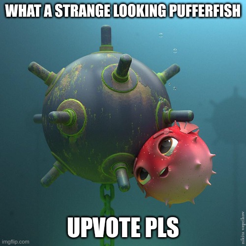 Pufferfish and land mine | WHAT A STRANGE LOOKING PUFFERFISH; UPVOTE PLS | image tagged in pufferfish and land mine | made w/ Imgflip meme maker