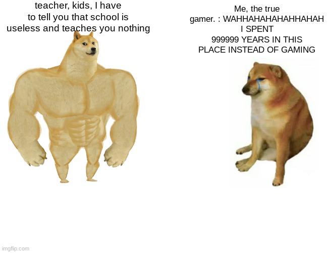 Buff Doge vs. Cheems | teacher, kids, I have to tell you that school is useless and teaches you nothing; Me, the true gamer. : WAHHAHAHAHAHHAHAH I SPENT 999999 YEARS IN THIS PLACE INSTEAD OF GAMING | image tagged in memes,buff doge vs cheems | made w/ Imgflip meme maker