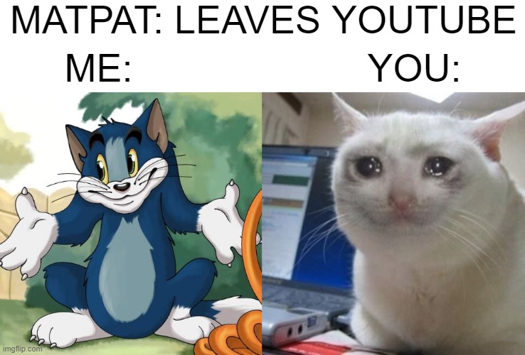 matpat | MATPAT: LEAVES YOUTUBE; ME:                      YOU: | image tagged in crying cat | made w/ Imgflip meme maker