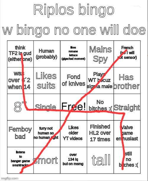 ripos bingoes | image tagged in ripos bingoes | made w/ Imgflip meme maker