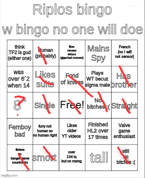 ripos bingoes | image tagged in ripos bingoes | made w/ Imgflip meme maker