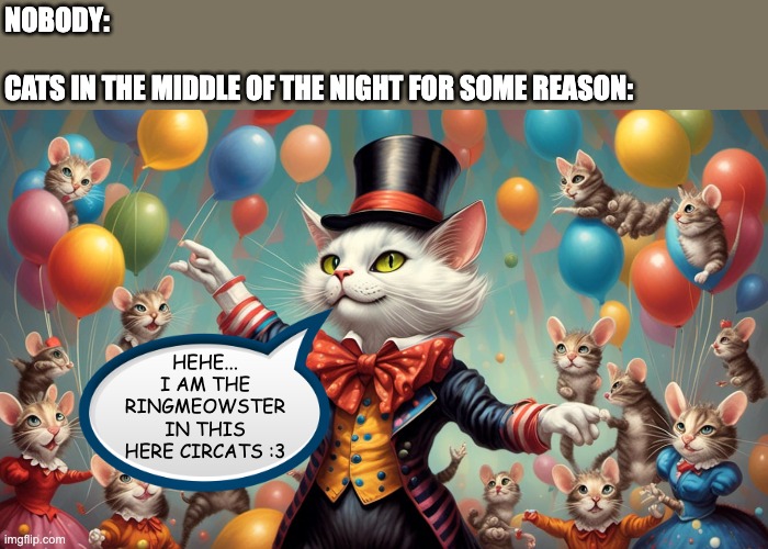 This is the only possible explanation for the noise that cats be making at night | NOBODY:
 
CATS IN THE MIDDLE OF THE NIGHT FOR SOME REASON:; HEHE... I AM THE RINGMEOWSTER IN THIS HERE CIRCATS :3 | image tagged in cat,circus,pun,surreal humor,bizarre,funny animals | made w/ Imgflip meme maker