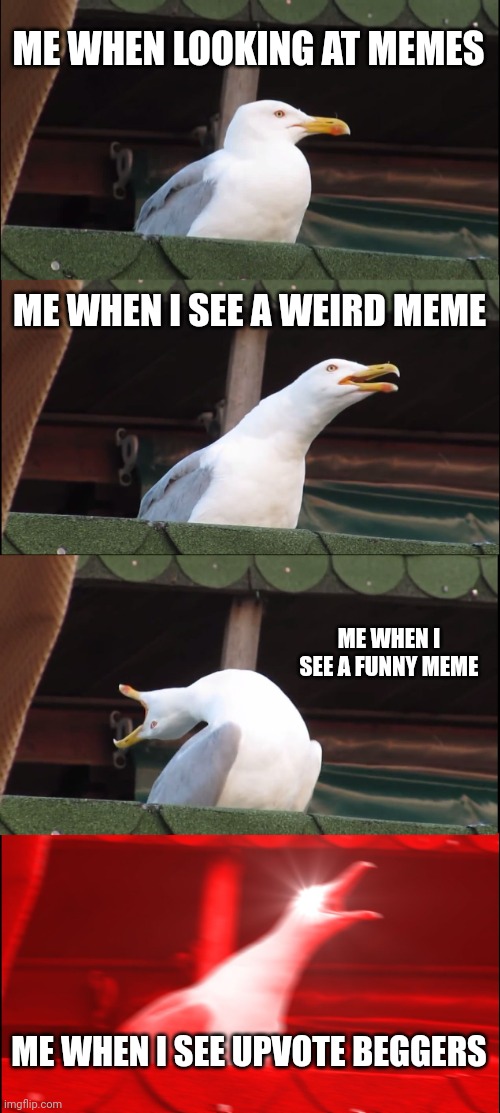 Idk, I just wanted to upload | ME WHEN LOOKING AT MEMES; ME WHEN I SEE A WEIRD MEME; ME WHEN I SEE A FUNNY MEME; ME WHEN I SEE UPVOTE BEGGERS | image tagged in memes,inhaling seagull,funny,funny memes,seagull,inhaling seagull 4 red | made w/ Imgflip meme maker