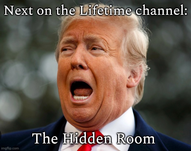 In today's episode: someone's secrets are revealed at Mar-a-Lago. | Next on the Lifetime channel:; The Hidden Room | image tagged in trump scared,cable tv,american horror story,evidence,fbi investigation,obstruction of justice | made w/ Imgflip meme maker