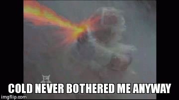 COLD NEVER BOTHERED ME ANYWAY | image tagged in gifs | made w/ Imgflip video-to-gif maker