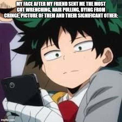 Deku dissapointed | MY FACE AFTER MY FRIEND SENT ME THE MOST GUT WRENCHING, HAIR PULLING, DYING FROM CRINGE, PICTURE OF THEM AND THEIR SIGNIFICANT OTHER: | image tagged in deku dissapointed | made w/ Imgflip meme maker