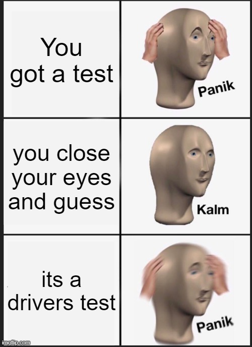 Driver's Test | You got a test; you close your eyes and guess; its a drivers test | image tagged in memes,panik kalm panik | made w/ Imgflip meme maker