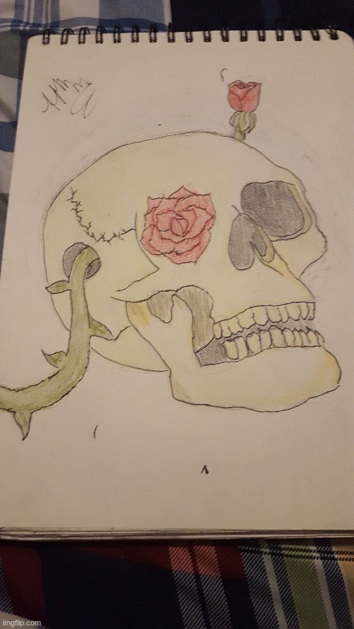 first time drawign a skull | made w/ Imgflip meme maker
