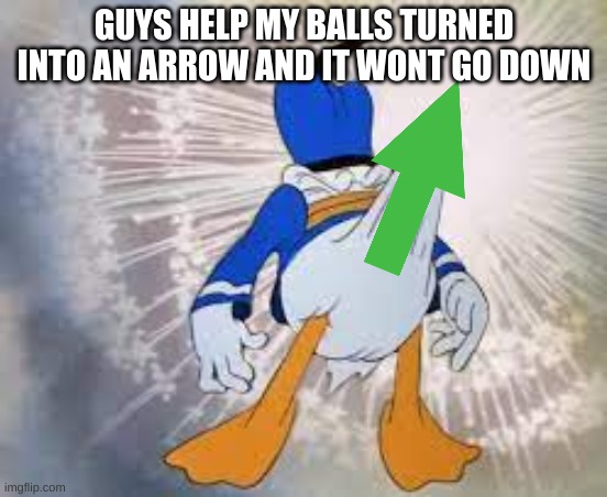 -------> | GUYS HELP MY BALLS TURNED INTO AN ARROW AND IT WONT GO DOWN | image tagged in m | made w/ Imgflip meme maker