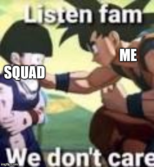 Listen fam we dont care | ME SQUAD | image tagged in listen fam we dont care | made w/ Imgflip meme maker