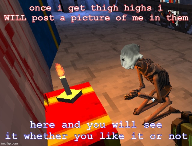 jumpscare warning real | once i get thigh highs i WILL post a picture of me in them; here and you will see it whether you like it or not | image tagged in literally me | made w/ Imgflip meme maker