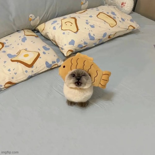 literallyme | made w/ Imgflip meme maker