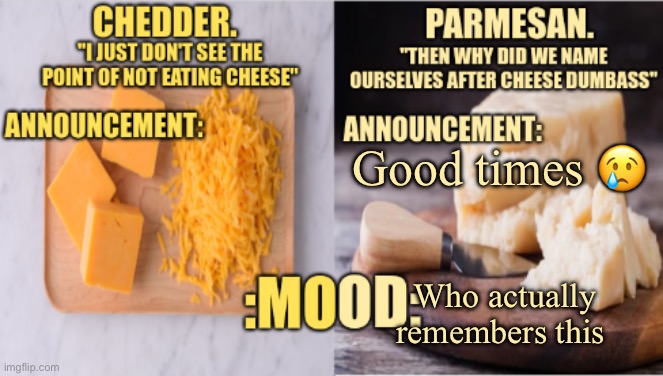 Chedder.+ Parmesan.'s Temp | Good times 😢; Who actually remembers this | image tagged in chedder parmesan 's temp | made w/ Imgflip meme maker