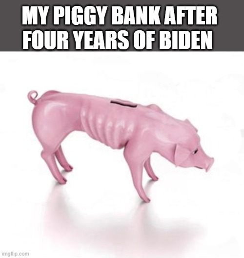 LOL!!!! | MY PIGGY BANK AFTER FOUR YEARS OF BIDEN | image tagged in skinny piggy bank,democrats,joe biden,broke | made w/ Imgflip meme maker