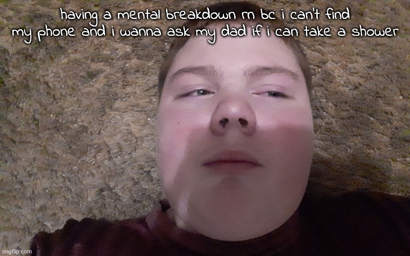 i've been crying for the past five minutes goddamn | having a mental breakdown rn bc i can't find my phone and i wanna ask my dad if i can take a shower | made w/ Imgflip meme maker
