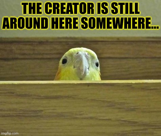 The Birb | THE CREATOR IS STILL AROUND HERE SOMEWHERE... | image tagged in the birb | made w/ Imgflip meme maker