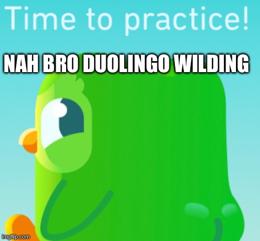 Duolingo | NAH BRO DUOLINGO WILDING | image tagged in duo,bird | made w/ Imgflip meme maker