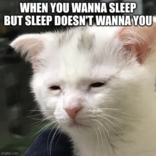 I'm awake, but at what cost? | WHEN YOU WANNA SLEEP BUT SLEEP DOESN'T WANNA YOU | image tagged in i'm awake but at what cost | made w/ Imgflip meme maker