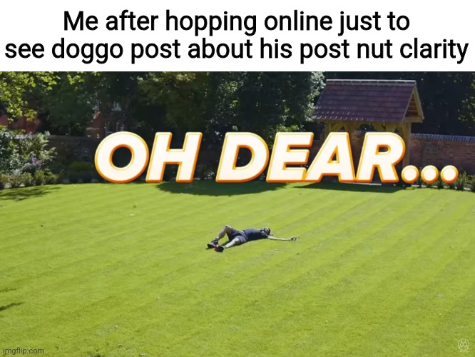 Me after hopping online just to see doggo post about his post nut clarity | made w/ Imgflip meme maker